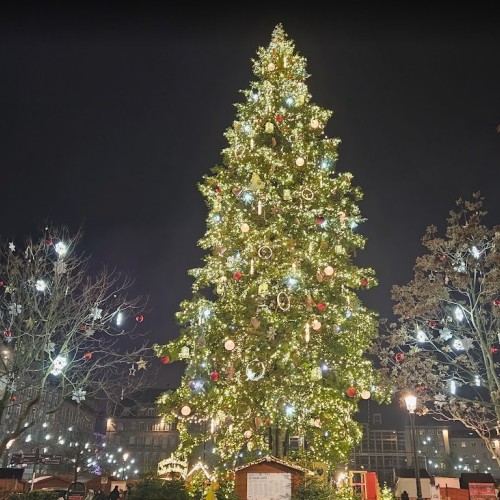 Pleine lune sur le sapin de Strasbourg