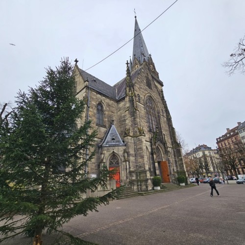 Un sapin participatif sur la Place Arnold