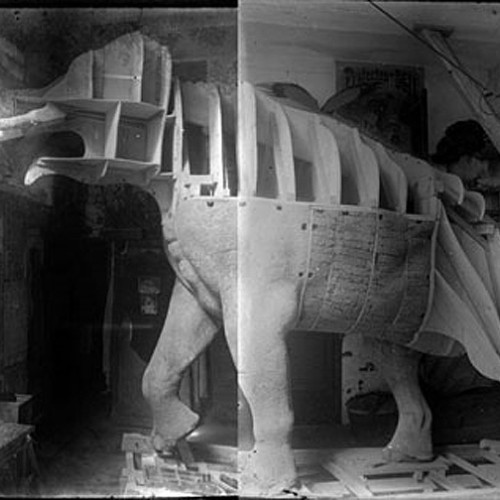 C'est arrivé un 11 décembre : en 1907, l’éléphant Punch arrive au Muséum 