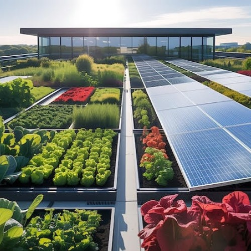 Quel avenir pour l'agriculture périurbaine ?