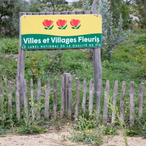Une 3e fleur pour Lille