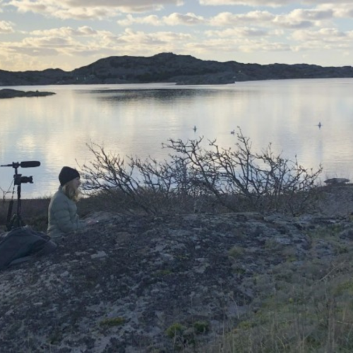 Un documentaire à Toulon pour voyager autrement