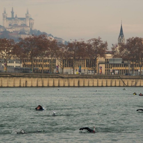 Le week-end sportif de Lyon (17 et 18 janvier 2026)