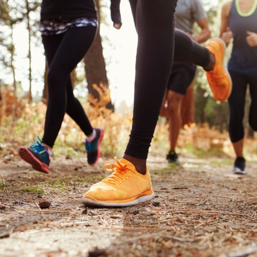 L'Agenda sportif du 10 et 11 janvier à Rouen