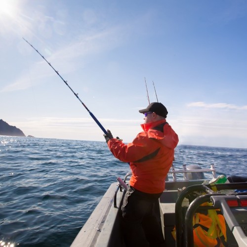 Le chiffre : 3 espèces à déclarer lors des pêches de loisir en Méditerranée