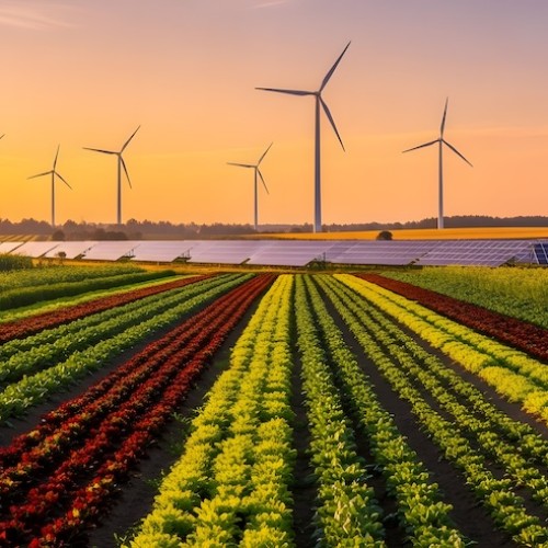 Agora des savoirs : L’alimentation à l’heure du dérèglement climatique