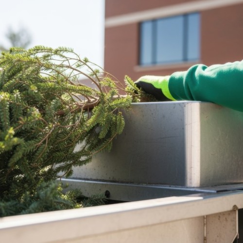 Donner une seconde vie à son sapin après Noël à Rouen