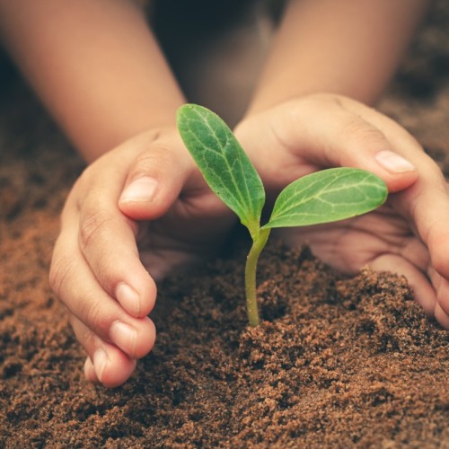 Participez au défi Ma petite planète 