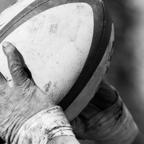 Toulon : l'agenda sportif des 24 et 25 janvier 2026 