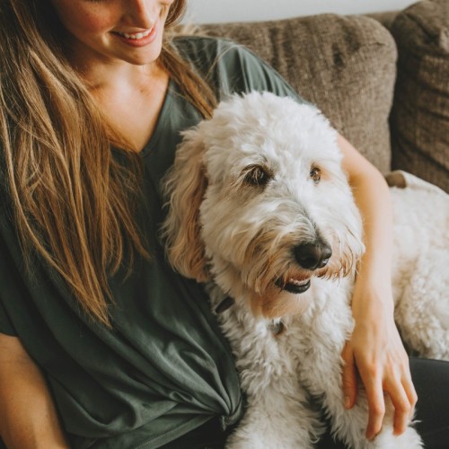 Petsitters : ils font de la garde d'animaux un véritable métier