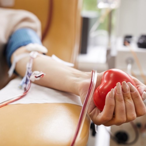 Donnez votre plasma à Toulon 
