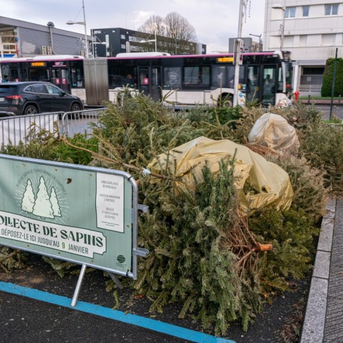 Que faire de son sapin de Noël après les fêtes à Clermont-Ferrand ?