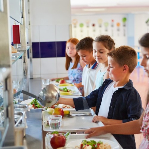 Les cantines scolaires lyonnaises saluées