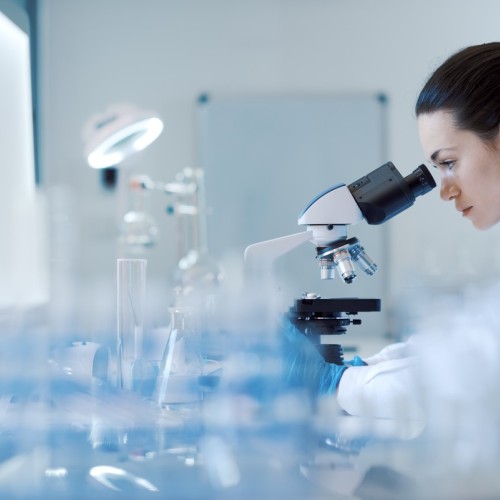Près de Bordeaux, un nouveau laboratoire explore les vertus des plantes pour la santé