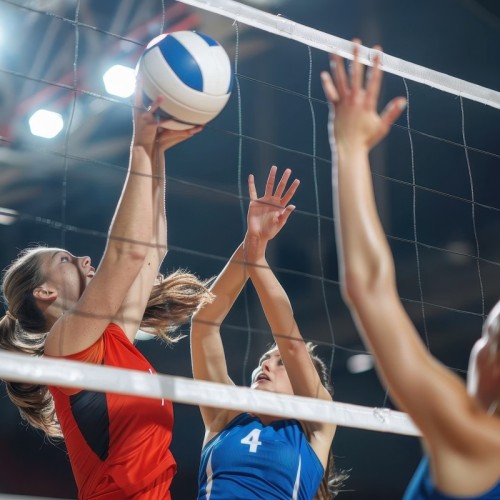 L'agenda sportif du 17 et 18 janvier à Clermont-Ferrand