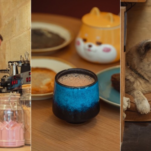 Le café Akita a ouvert ses portes à Bordeaux