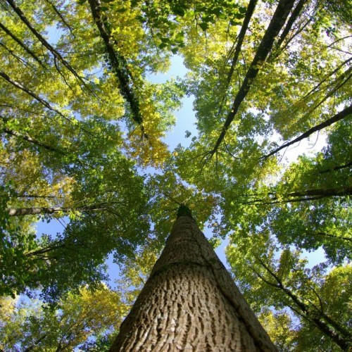 Regards croisés sur la biodiversité