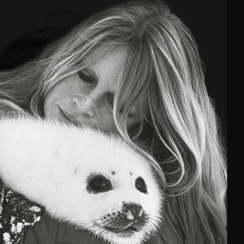 Brigitte Bardot : son combat pour la protection des animaux