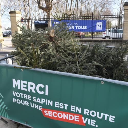 Ne jetez pas votre sapin de Noël, offrez lui une 2e vie !