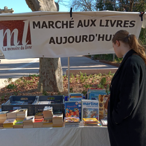 Les bouquinistes de retour sur l'Esplanade  