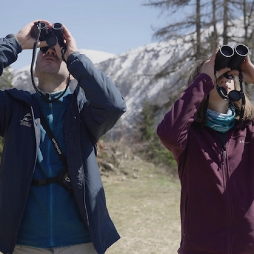 Cinérando à Pierresvives : Marcher pour demain