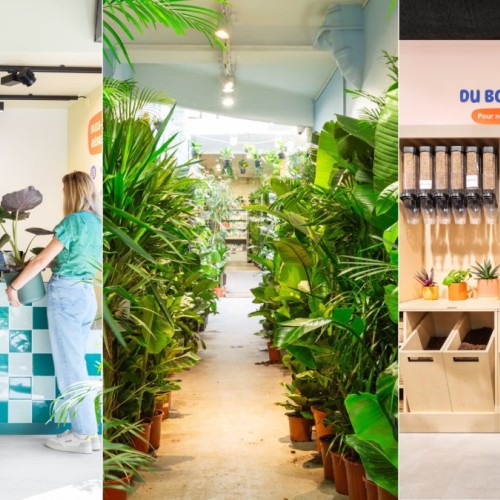 Plantes pour tous ouvre sa 1re jardinerie urbaine Bordeaux