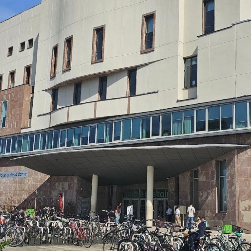 Le Conservatoire ouvre son festival 