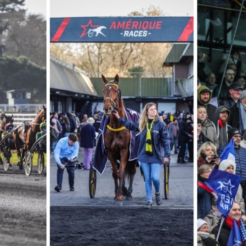 Découvrir le monde équestre au Prix d’Amérique à l'hippodrome de Vincennes