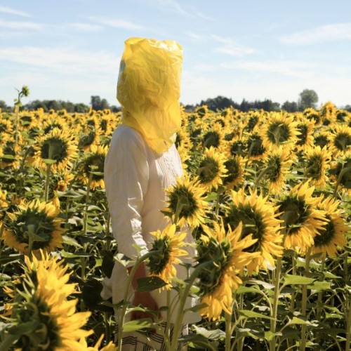 L'exposition Plants and People, un plaidoyer en faveur du vivant à Nantes