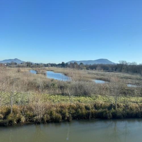 Près de Toulon, une zone humide à la biodiversité exceptionnelle