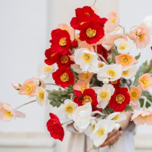 Une grande vente de fleurs séchées à Lille