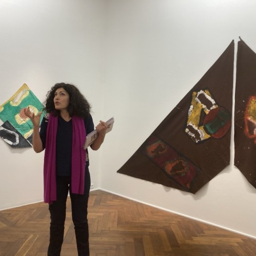 Toulon : une visite commentée de l'exposition Viallat 
