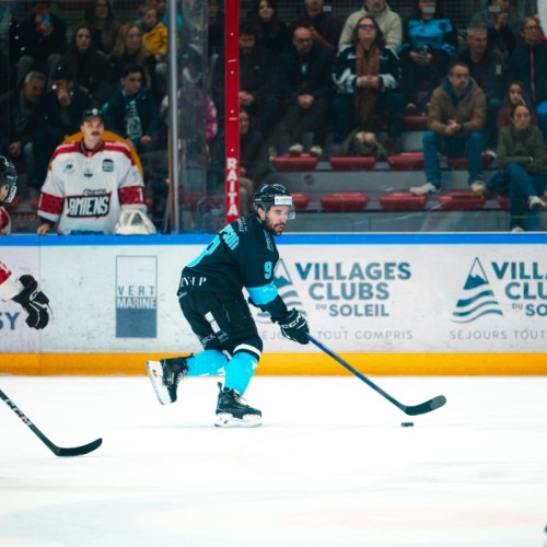 Les Spartiates de Marseille affrontent les Gothiques d'Amiens