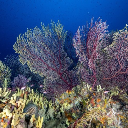 Les Marseillais de Septentrion Environnement reçoivent 900 000 € de fonds