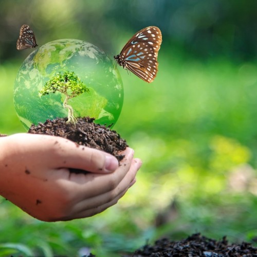 Les impacts de l'homme sur la biodiversité en question à Marseille