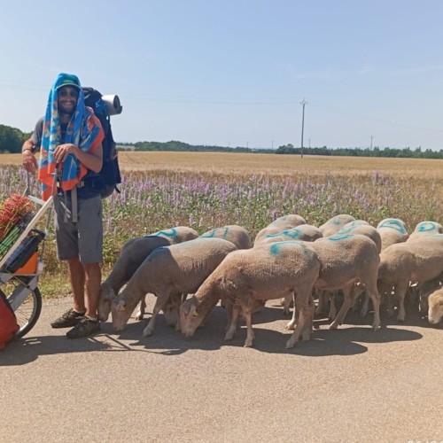 Arthur Aude : Le Marseillais amoureux des moutons