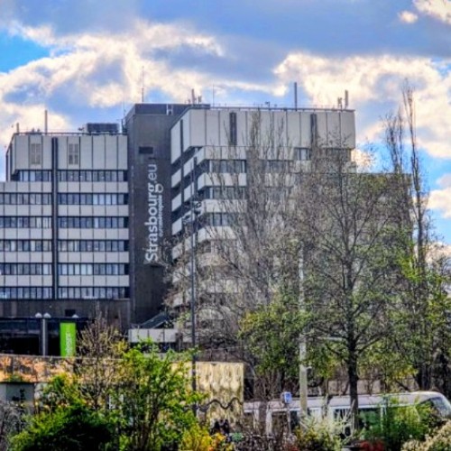 Dernier conseil municipal avant les élections 