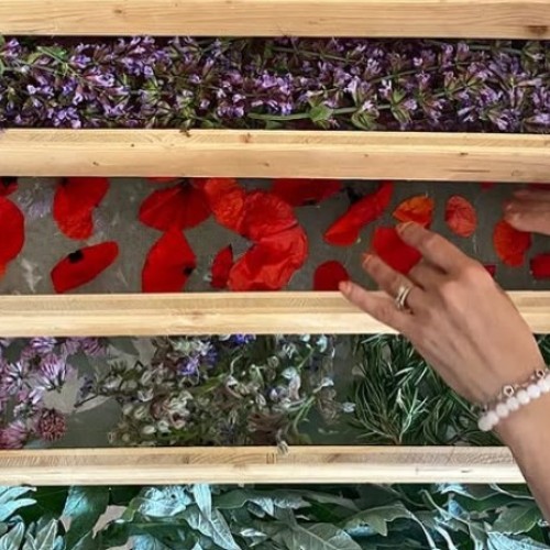 Nouveau marché bio aux Jardins de la Montagne Verte 
