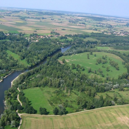 Près de Clermont-Ferrand : Sensibiliser aux zones humides 