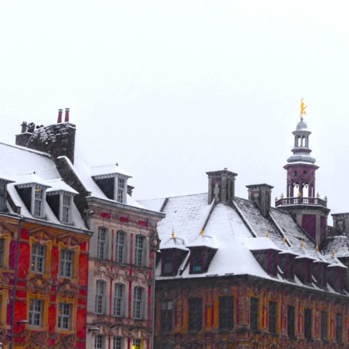 Quelles précautions à Lille, placé en vigilance orange neige-verglas ?