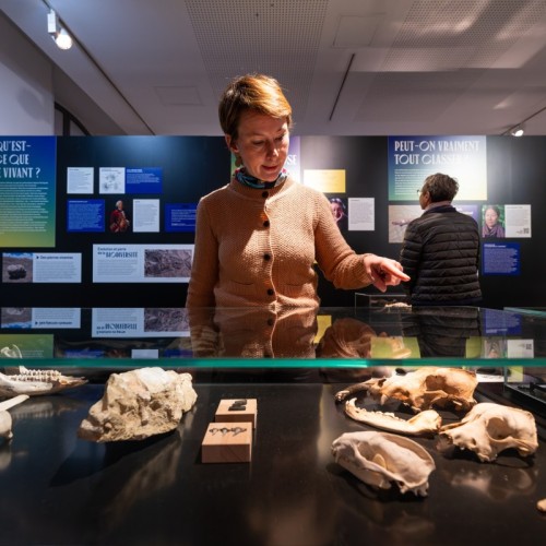 Nouvelle exposition au Musée d'ethnographie de l'université de Bordeaux