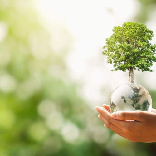 Grenoble : Un atelier pour apprendre à mieux parler d'écologie 