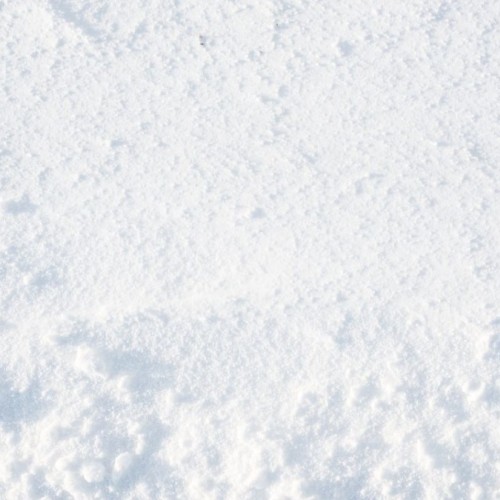 Grenoble : Une conférence dédiée à la neige 