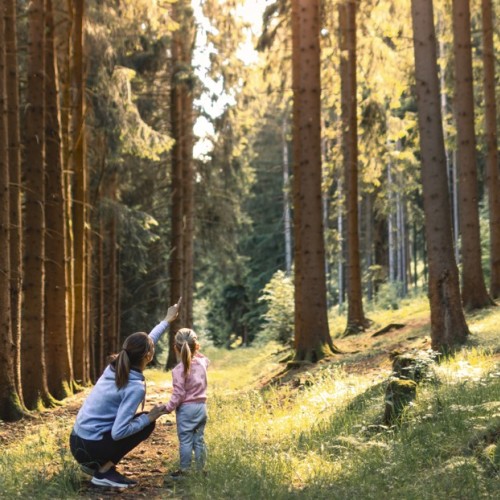 Rapprocher les enfants de la nature