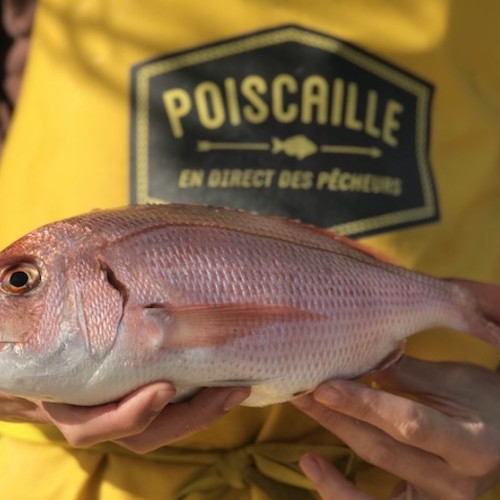 Un entrepeneur originaire de Bordeaux dans « Qui veut être mon associé ? »