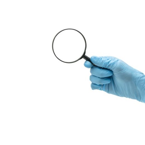 Une conférence pour parler des infections dues aux vers à Nantes
