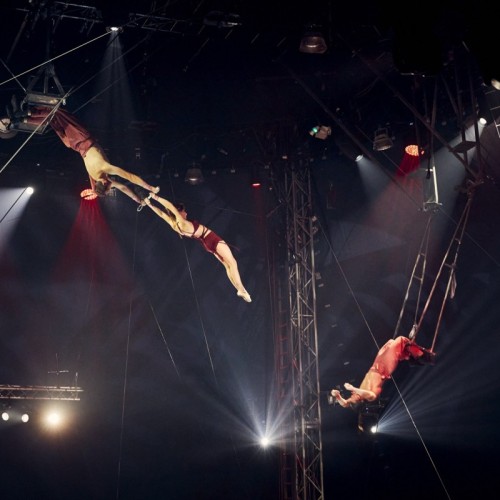 Les plus grands talents circassiens réunis au Festival mondial du Cirque de demain à Paris