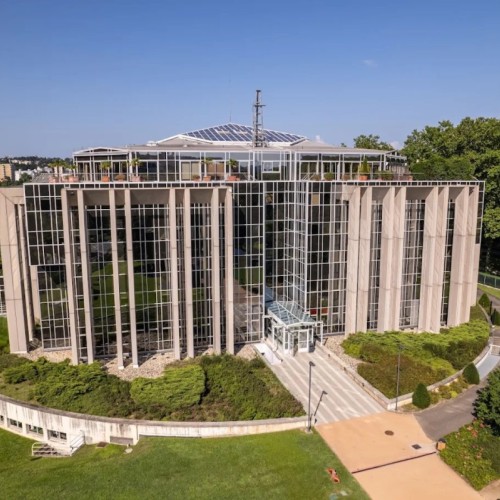 Interpol agrandit son camp de base ‍️