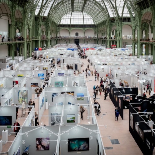 Plus de 3 000 artistes à découvrir au Grand Palais avec Art Capital