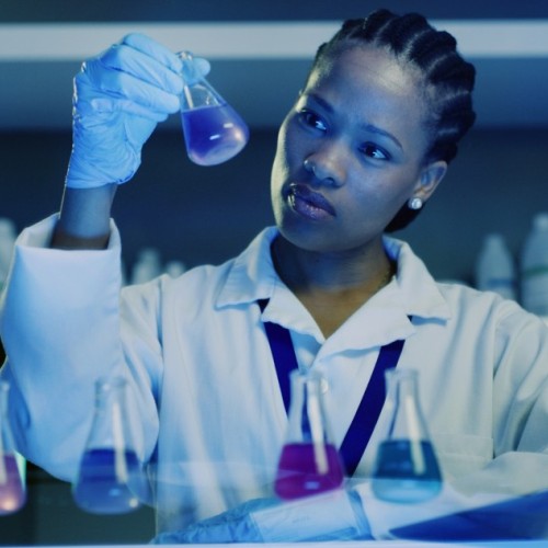 À la rencontre de femmes scientifiques de l'Université de Strasbourg